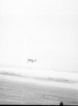 hartley   europe 1944   nh010